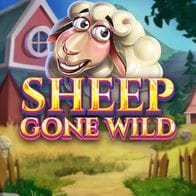 Sheep Gone Wild thumbnail